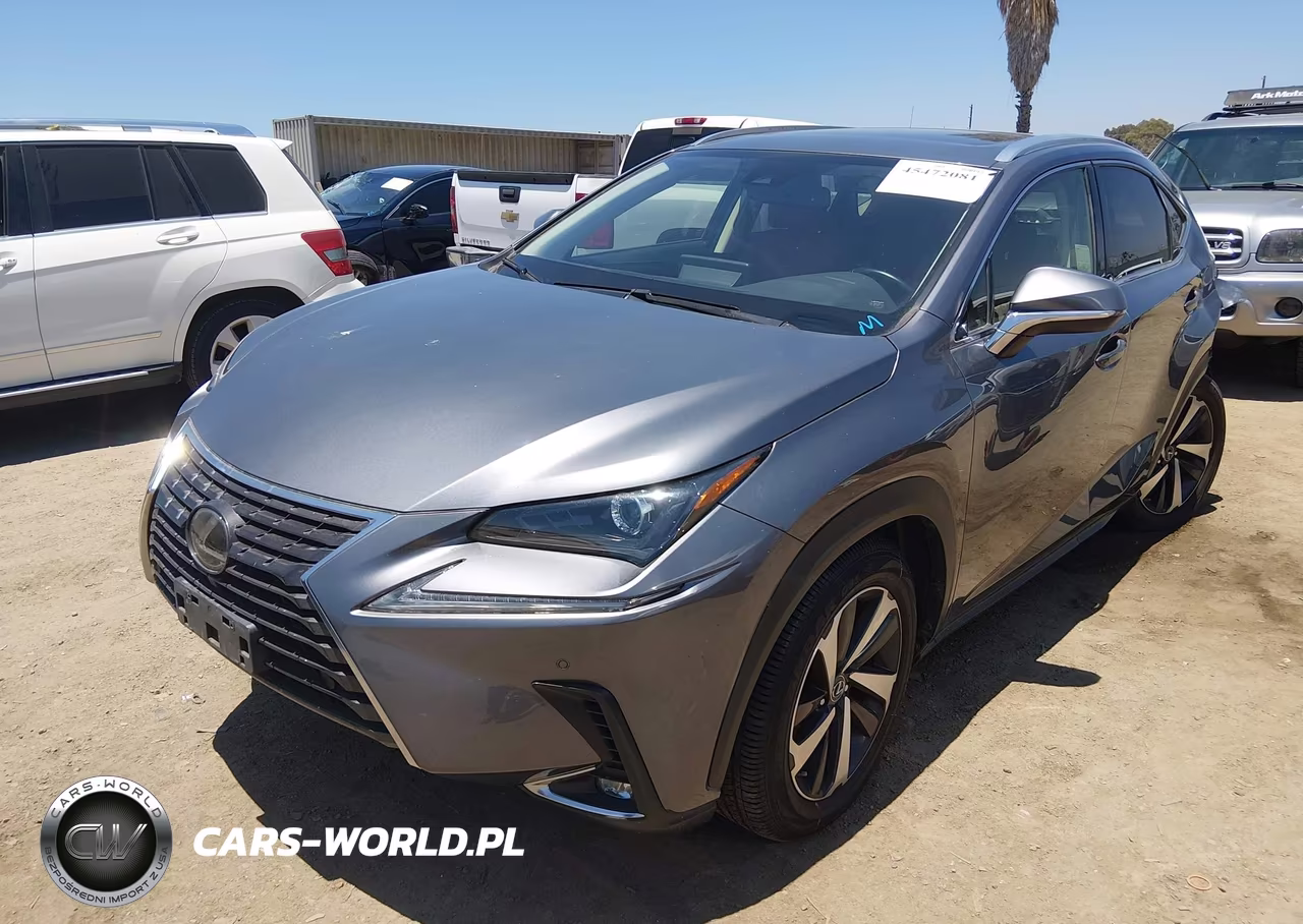 2021 Lexus Nx 300 VIN:JTJGARBZ1M2187686 - 2