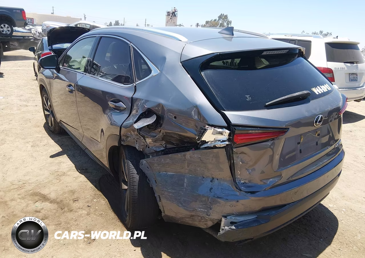 2021 Lexus Nx 300 VIN:JTJGARBZ1M2187686 - 3