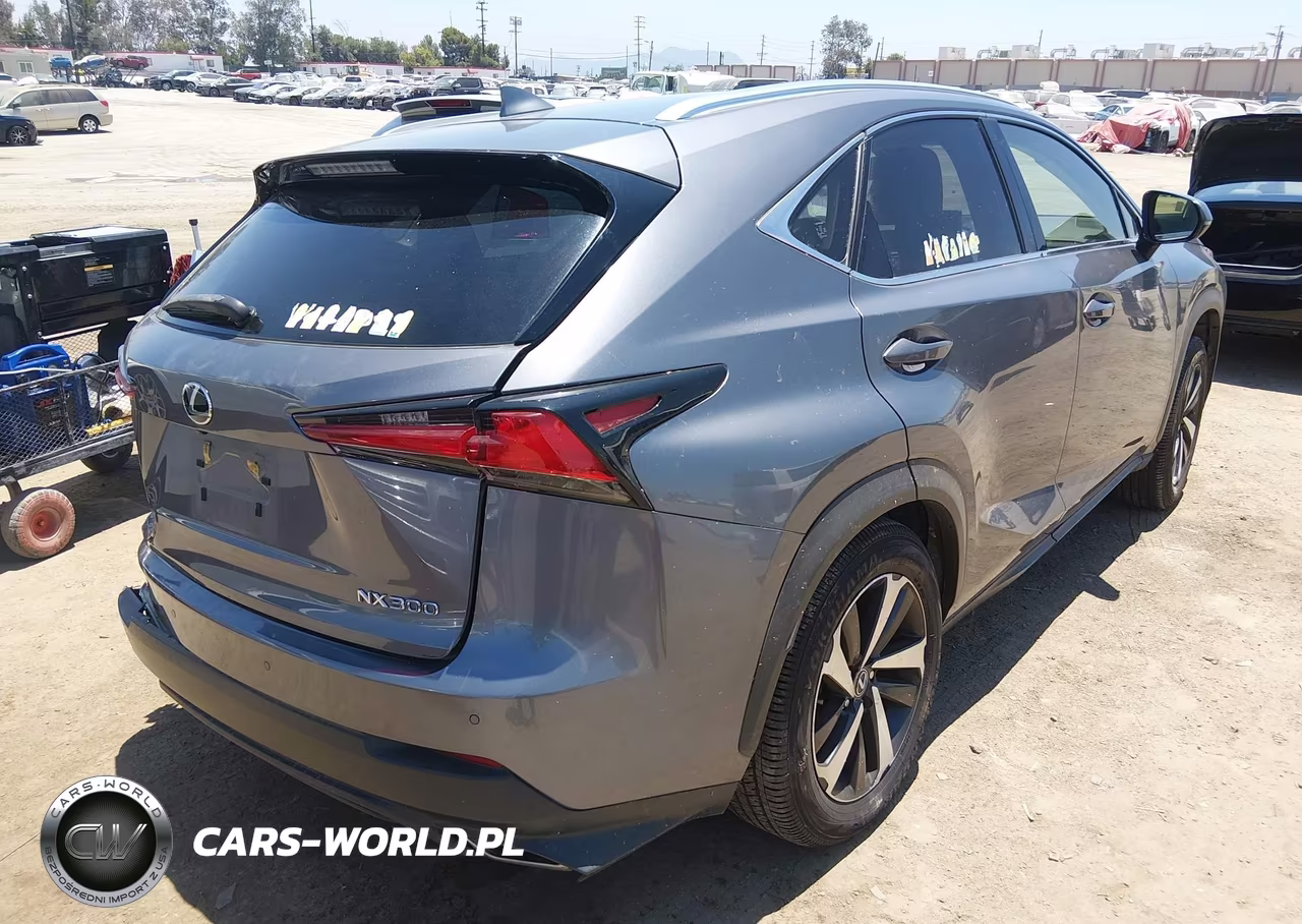 2021 Lexus Nx 300 VIN:JTJGARBZ1M2187686 - 4