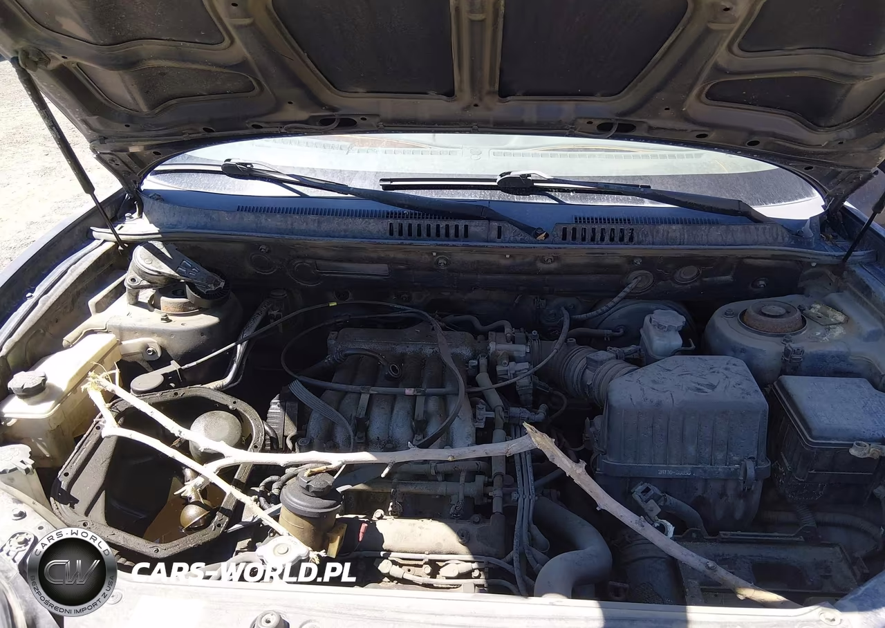 2005 Hyundai Santa Fe Gls VIN:KM8SC73D45U005785 - 10