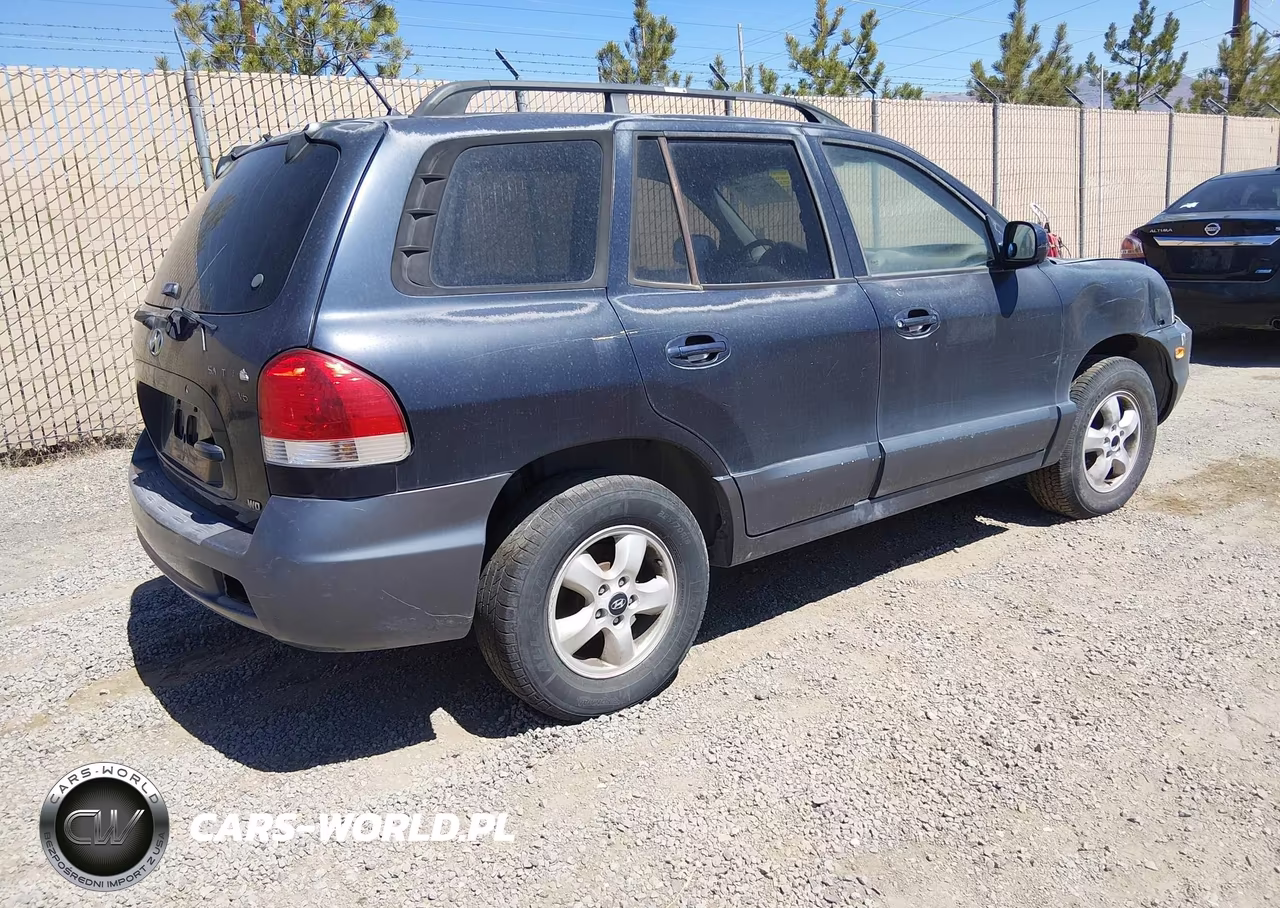 2005 Hyundai Santa Fe Gls VIN:KM8SC73D45U005785 - 4