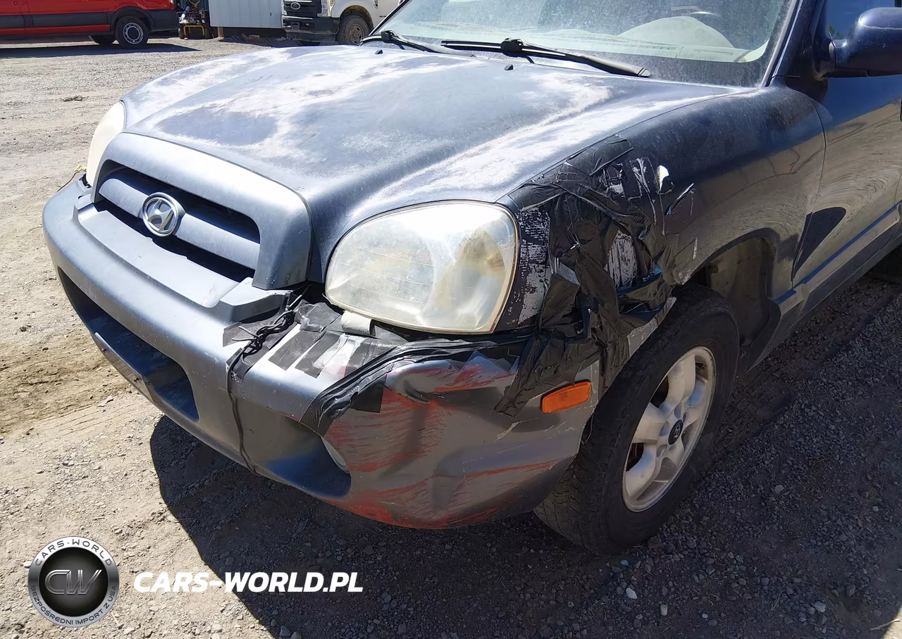 2005 Hyundai Santa Fe Gls VIN:KM8SC73D45U005785 - 6