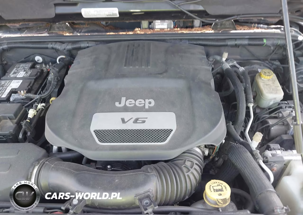 2016 Jeep Wrangler Unlimited Sahara VIN:1C4BJWEGXGL198545 - 10
