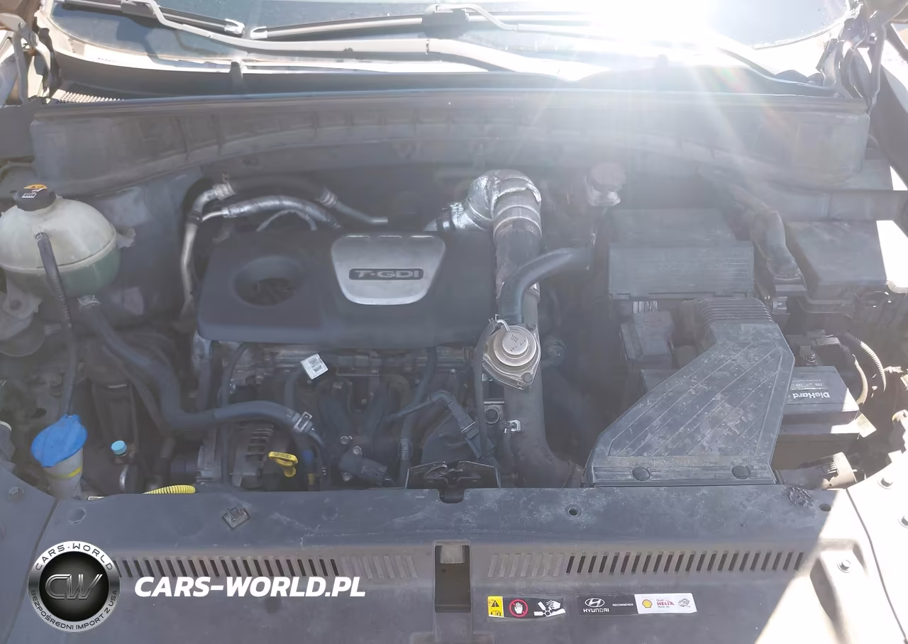 2016 Hyundai Tucson Sport VIN:KM8J33A27GU179164 - 10