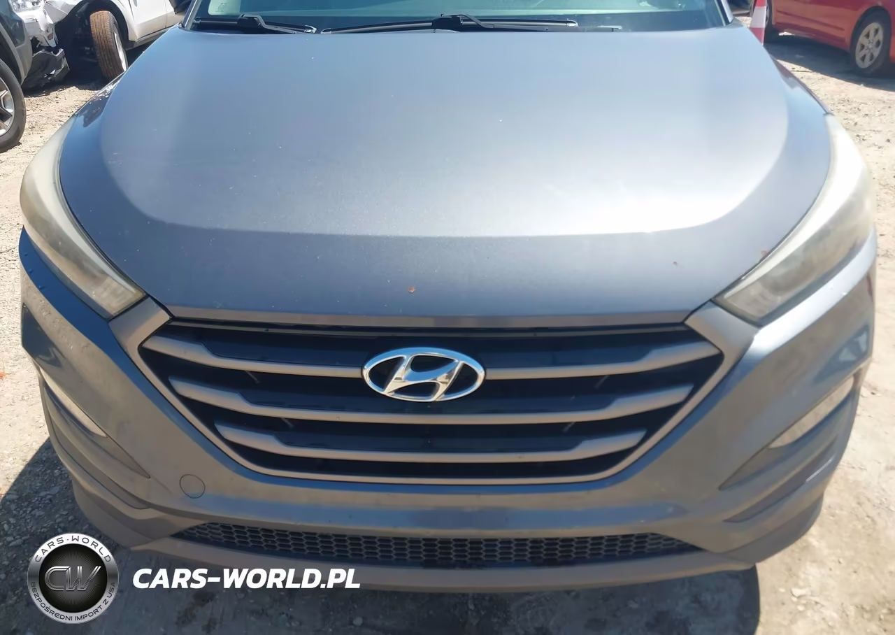 2016 Hyundai Tucson Sport VIN:KM8J33A27GU179164 - 6