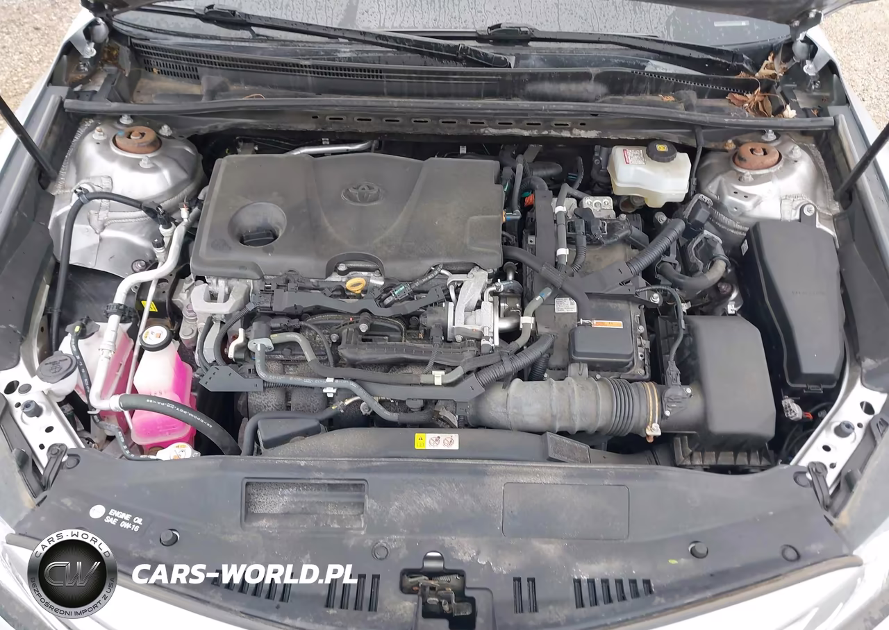 2020 Toyota Camry Se Hybrid VIN:4T1J31AK2LU009695 - 10