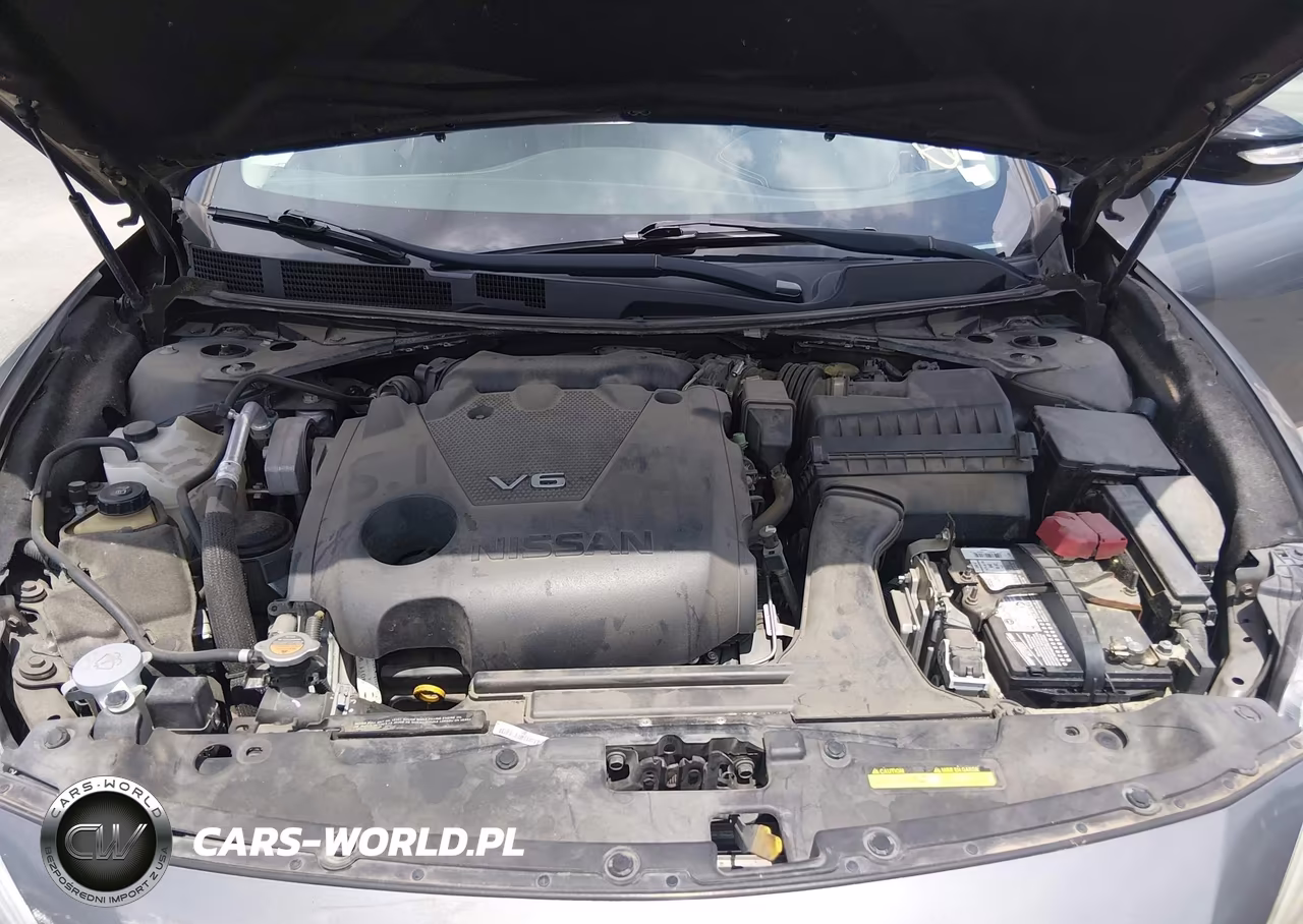 2017 Nissan Maxima VIN:1N4AA6APXHC365012 - 10