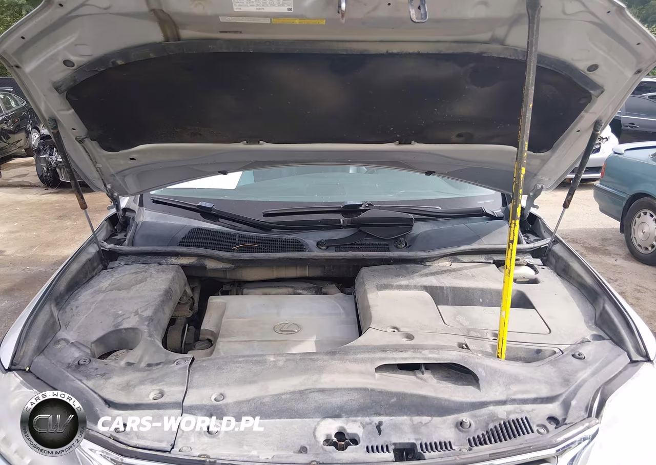 2015 Lexus Rx 350 VIN:2T2BK1BA4FC322973 - 10
