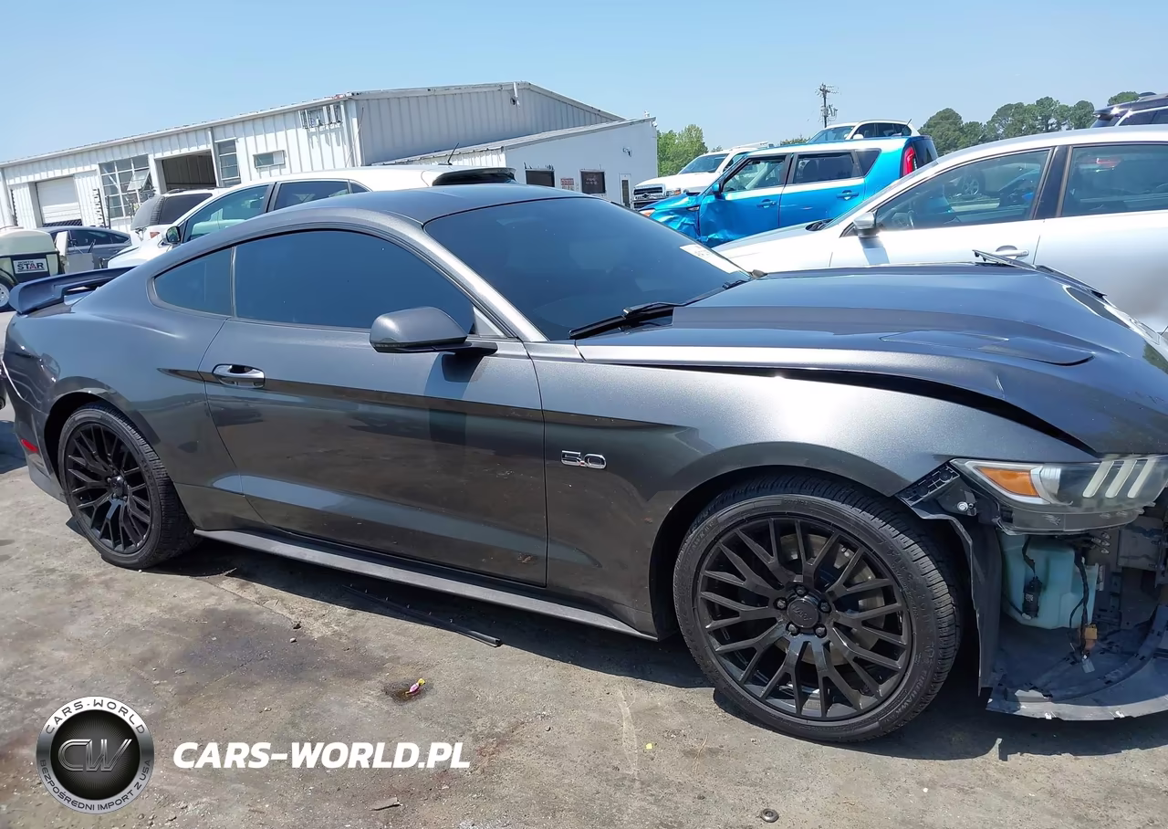 2015 Ford Mustang Gt Premium VIN:1FA6P8CF6F5367541 - 14