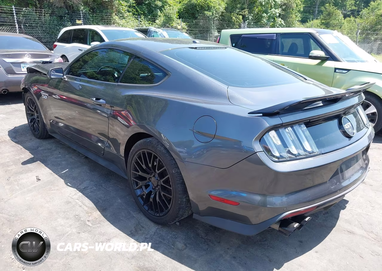 2015 Ford Mustang Gt Premium VIN:1FA6P8CF6F5367541 - 3