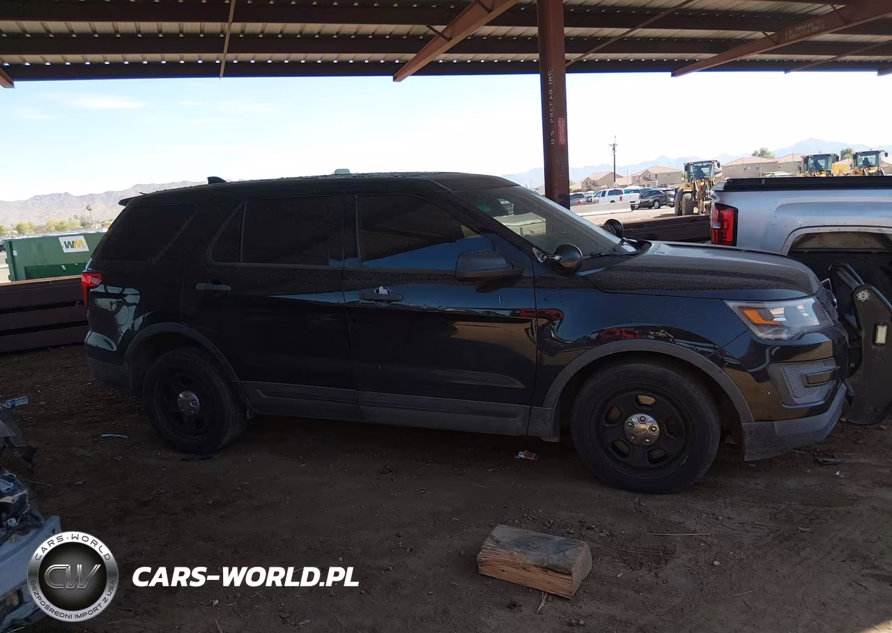 2016 Ford Utility Police Interceptor VIN:1FM5K8AR6GGC08070 - 13