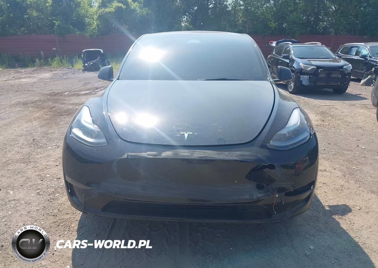 2025 Tesla Model Y Long Range Dual Motor Rear-Wheel Drive VIN:7SAYGDED4SF313044 - 12