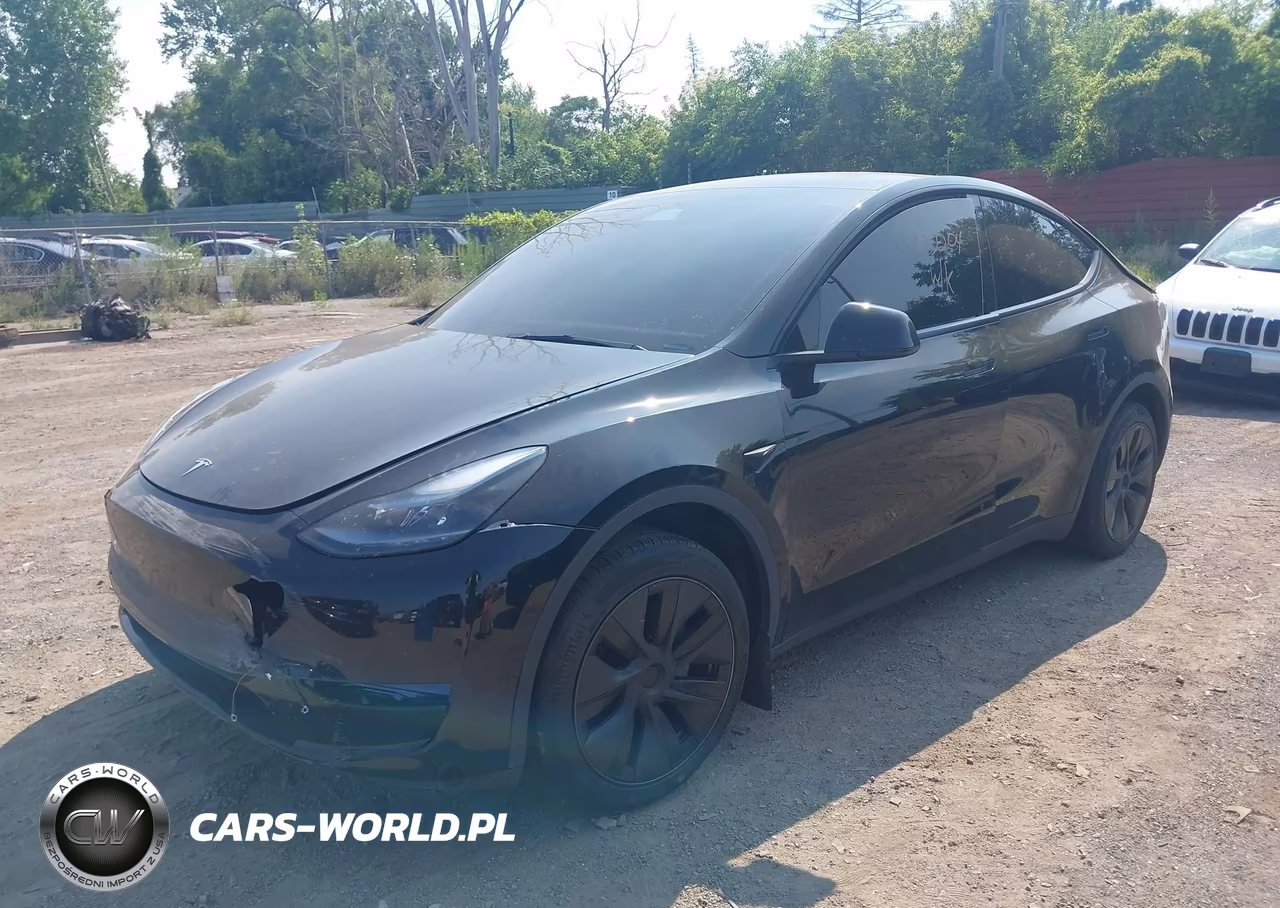 2025 Tesla Model Y Long Range Dual Motor Rear-Wheel Drive VIN:7SAYGDED4SF313044 - 2