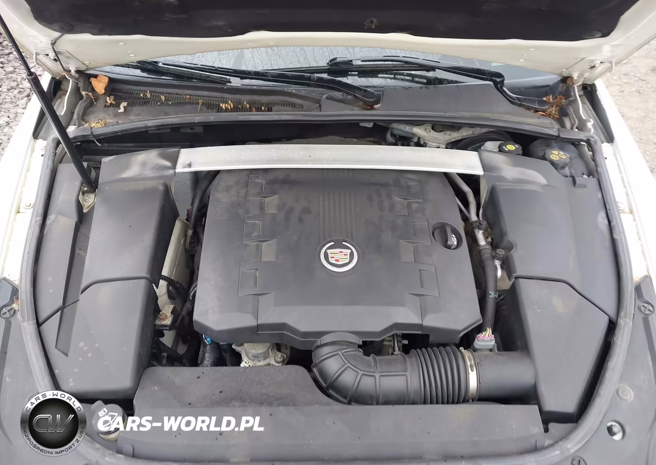 2011 Cadillac Cts Luxury VIN:1G6DG5EY3B0143992 - 10