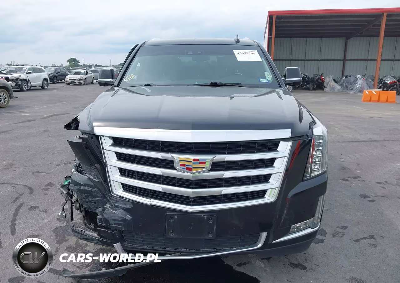 2019 Cadillac Escalade Premium Luxury VIN:1GYS4CKJ5KR122446 - 12