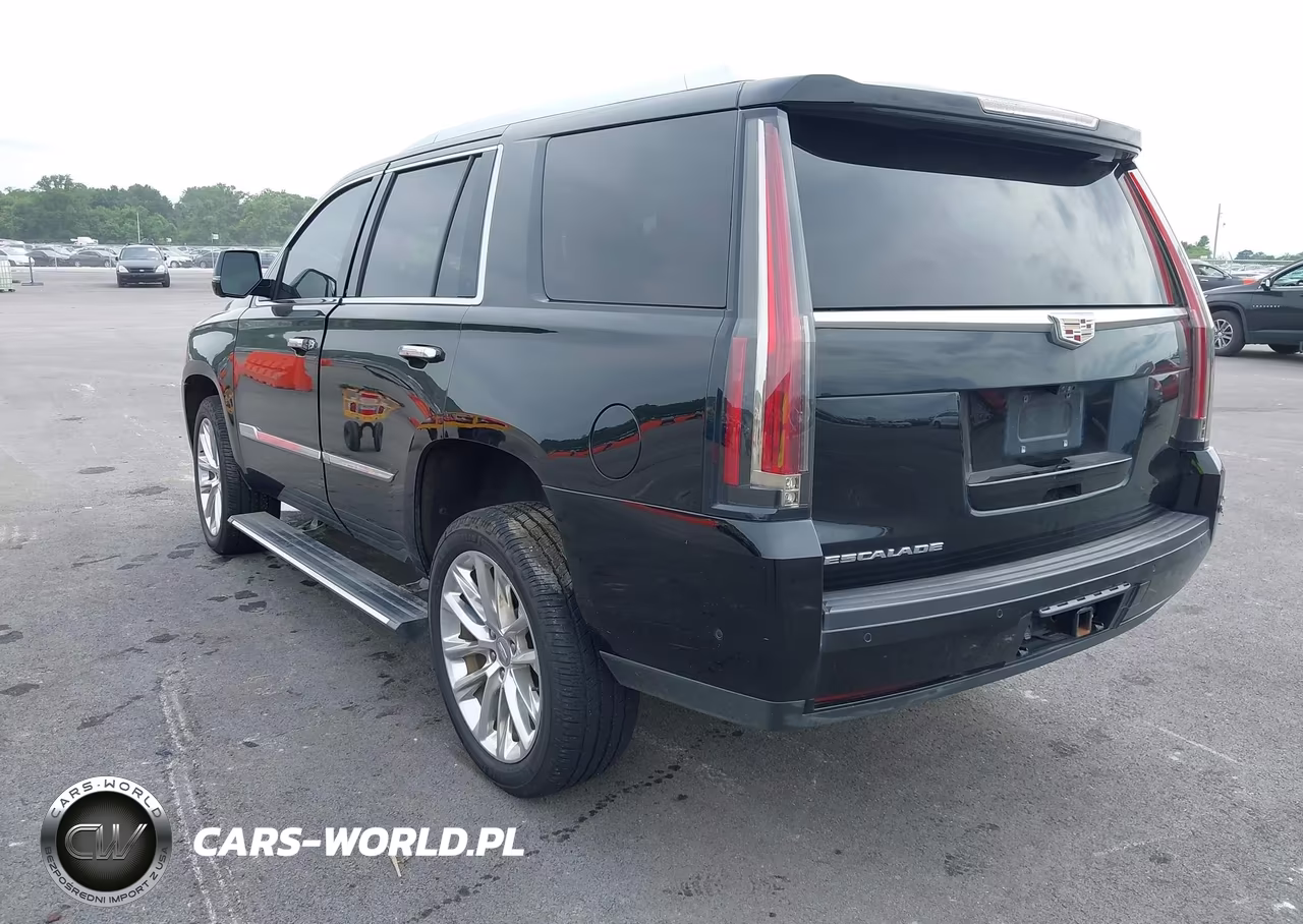 2019 Cadillac Escalade Premium Luxury VIN:1GYS4CKJ5KR122446 - 3