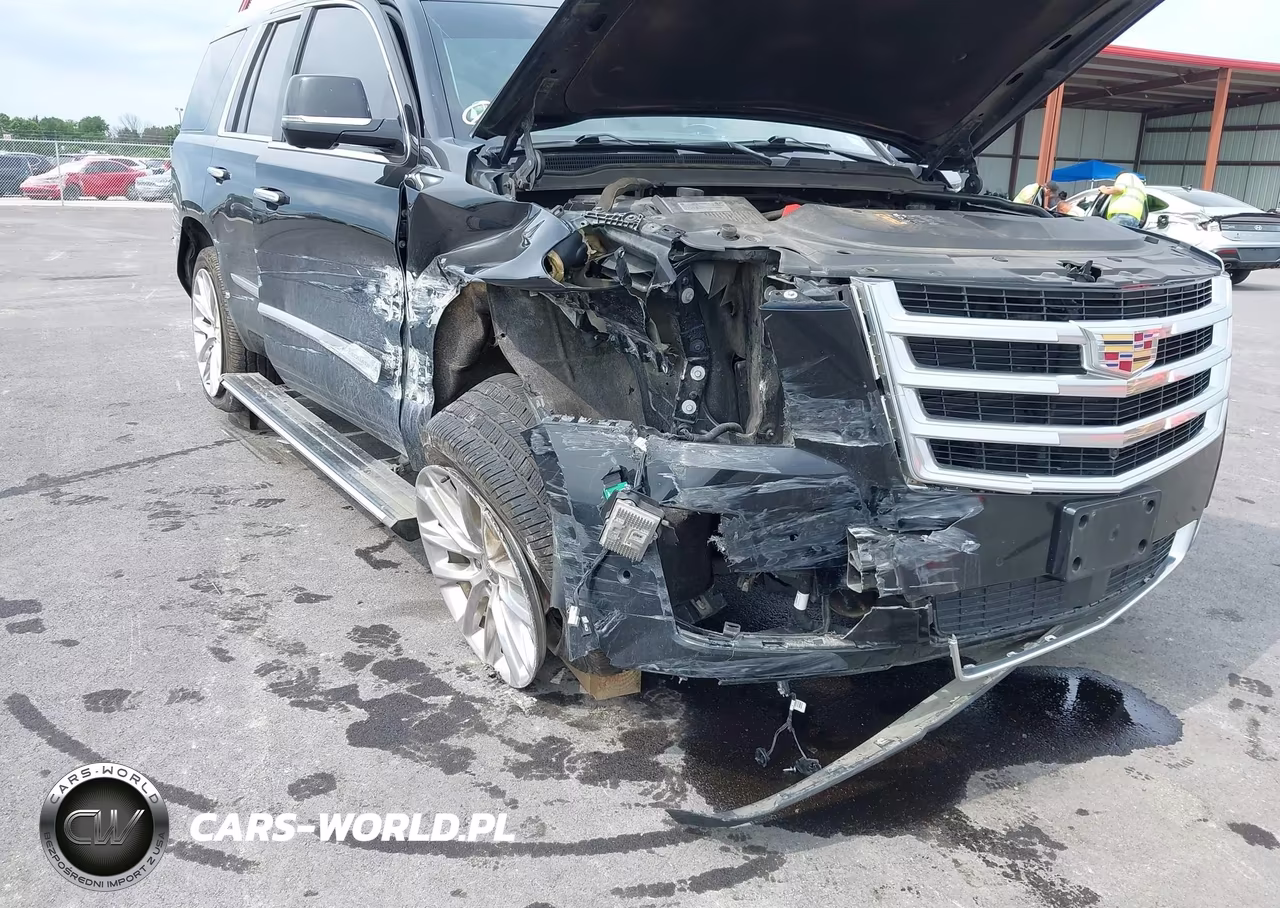 2019 Cadillac Escalade Premium Luxury VIN:1GYS4CKJ5KR122446 - 6