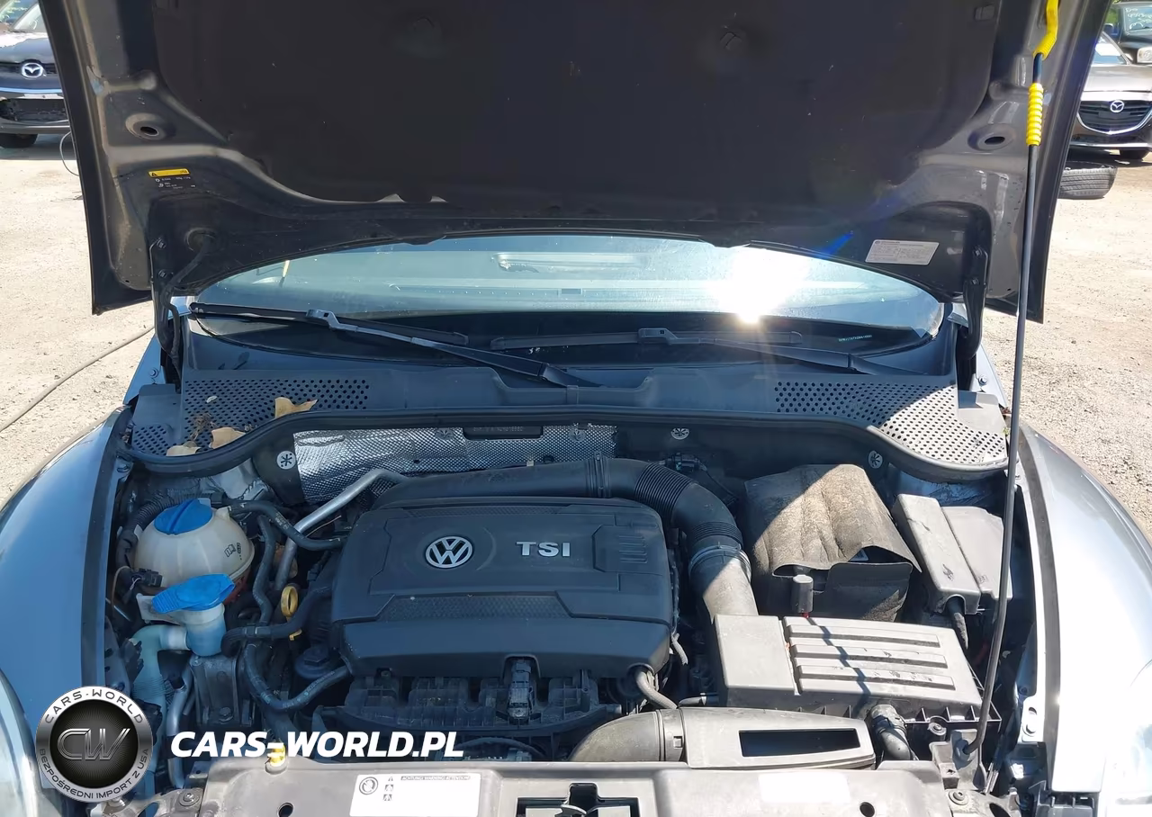 2016 Volkswagen Beetle 1.8T Se VIN:3VWJ17ATXGM616960 - 10