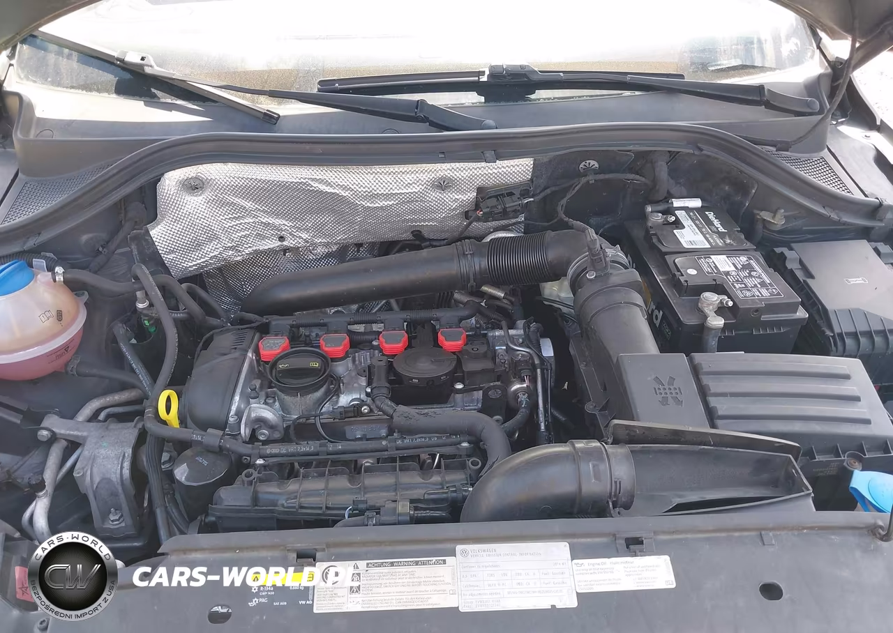 2014 Volkswagen Tiguan S VIN:WVGCV3AX4EW624105 - 10