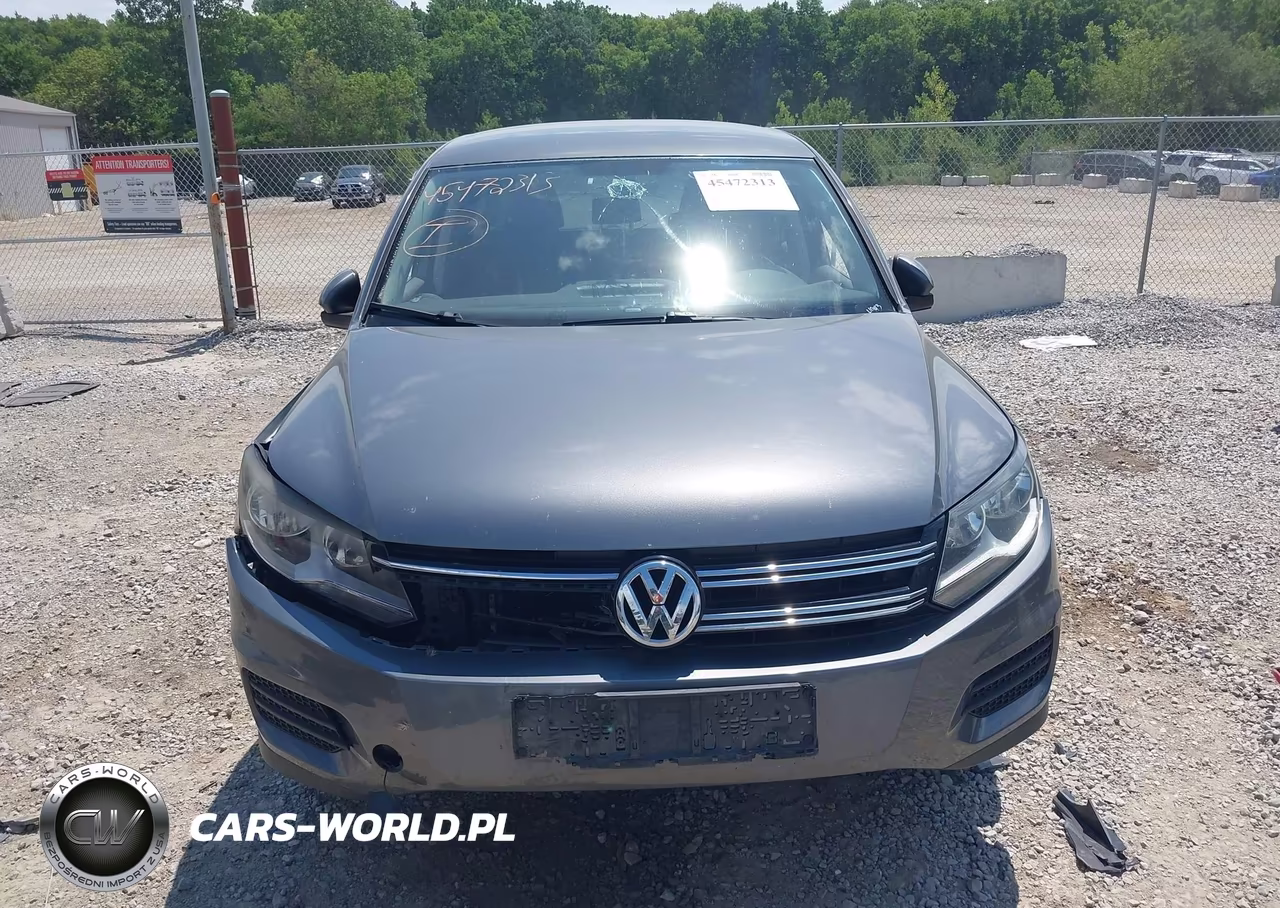 2014 Volkswagen Tiguan S VIN:WVGCV3AX4EW624105 - 12