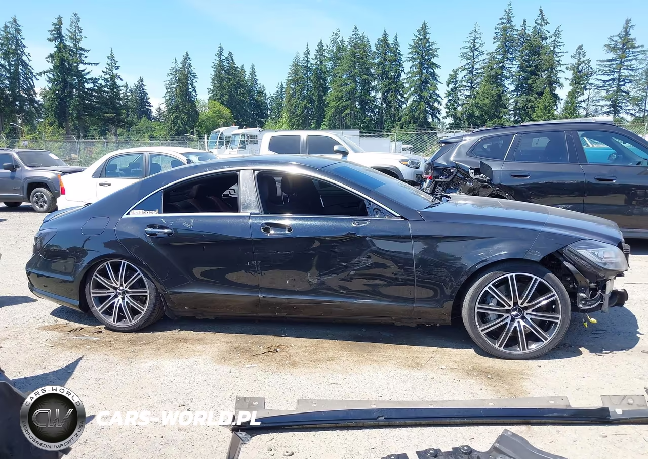 2014 Mercedes-Benz Cls 550 4Matic VIN:WDDLJ9BB1EA097259 - 14