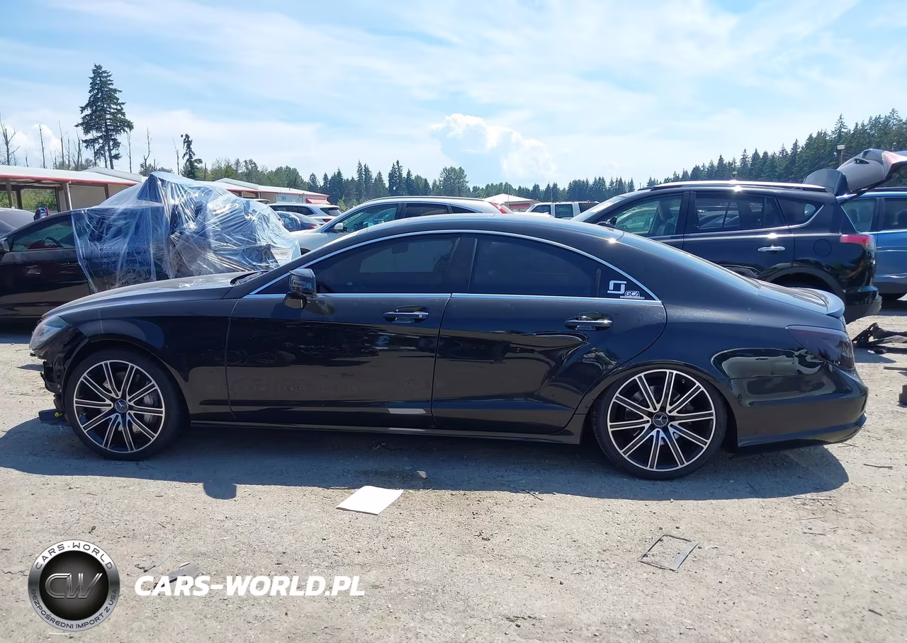 2014 Mercedes-Benz Cls 550 4Matic VIN:WDDLJ9BB1EA097259 - 15