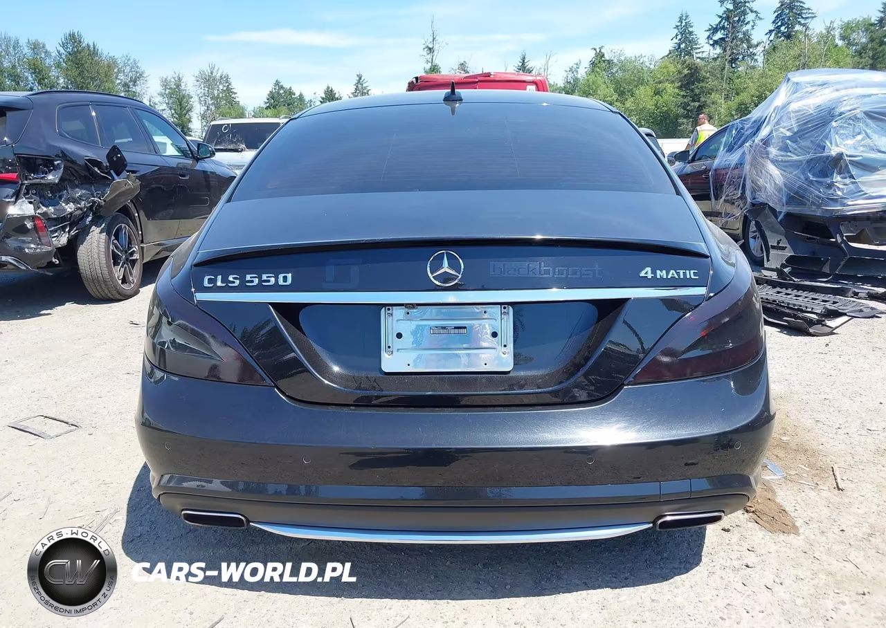 2014 Mercedes-Benz Cls 550 4Matic VIN:WDDLJ9BB1EA097259 - 17