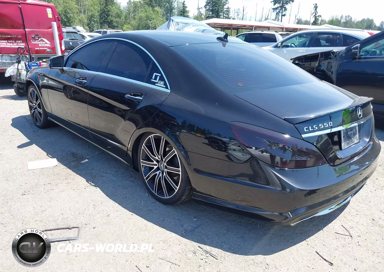 2014 Mercedes-Benz Cls 550 4Matic VIN:WDDLJ9BB1EA097259 - 3
