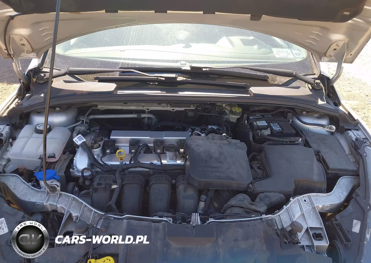 2016 Ford Focus Se VIN:1FADP3F21GL332289 - 10