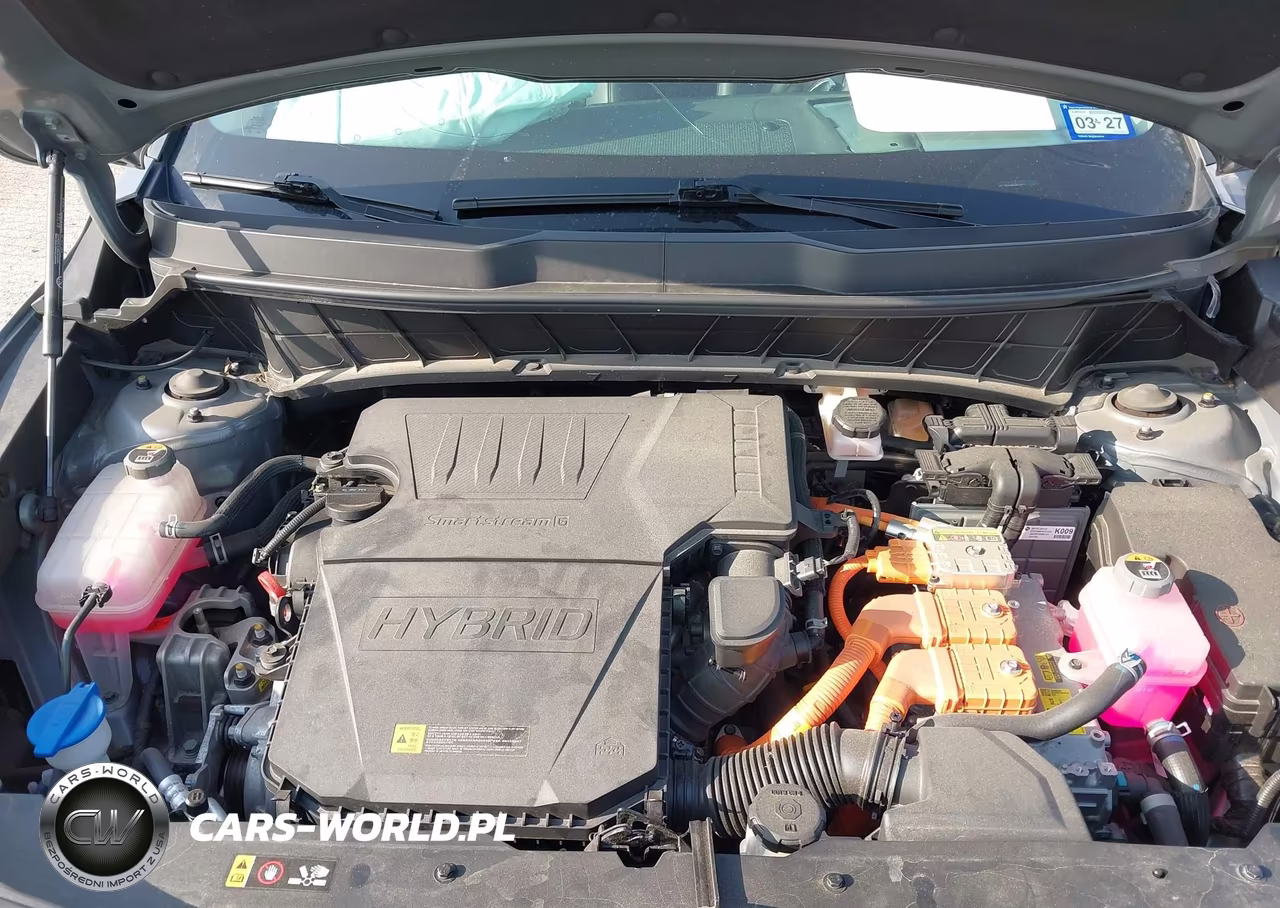 2024 Kia Niro Ex VIN:KNDCR3LE9R5162317 - 10