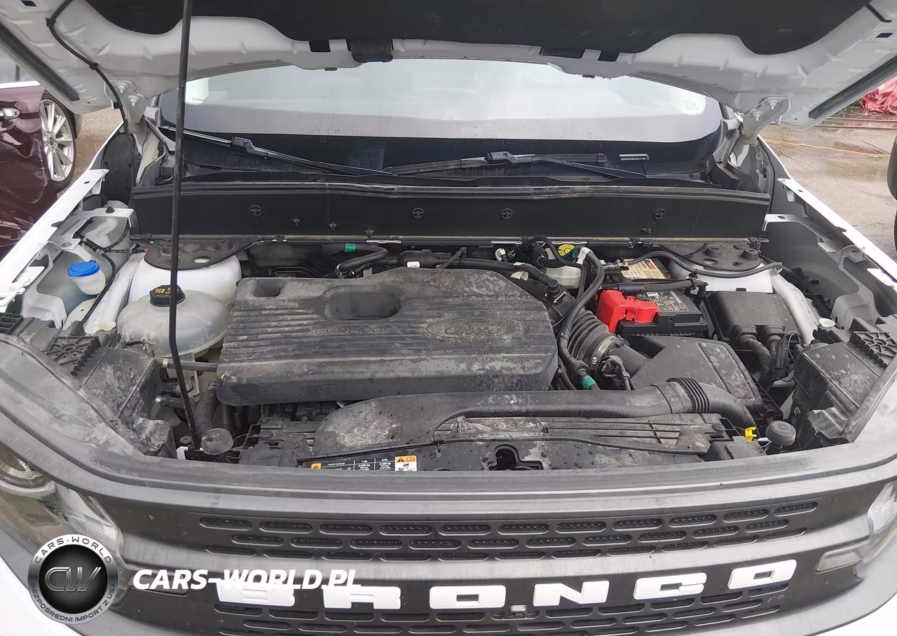 2021 Ford Bronco Sport Badlands VIN:3FMCR9D94MRA66312 - 10