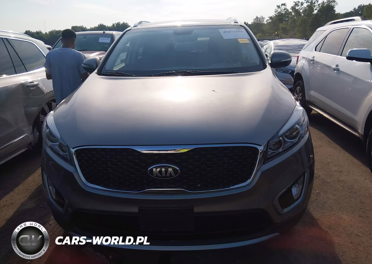 2016 Kia Sorento 3.3L Ex VIN:5XYPH4A58GG183113 - 12