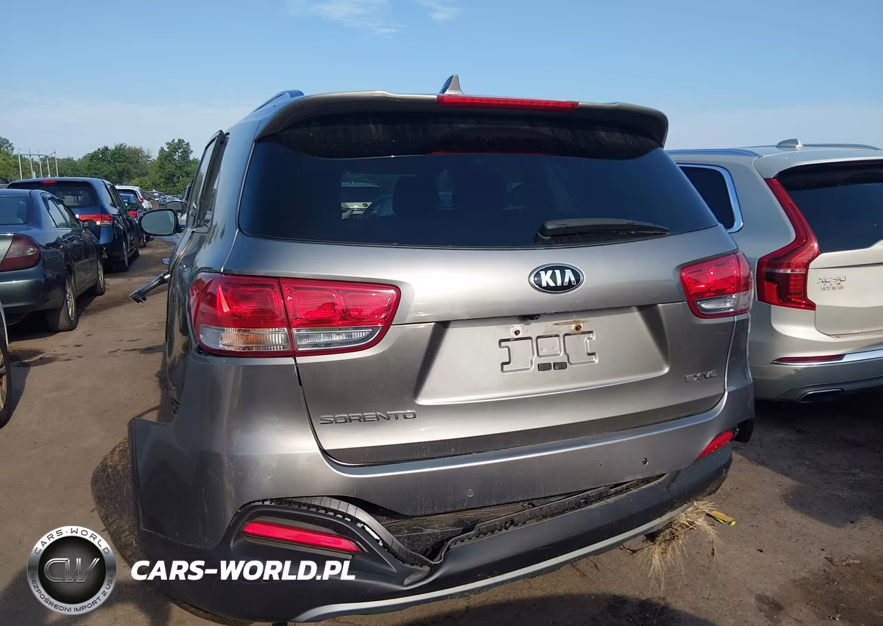 2016 Kia Sorento 3.3L Ex VIN:5XYPH4A58GG183113 - 16