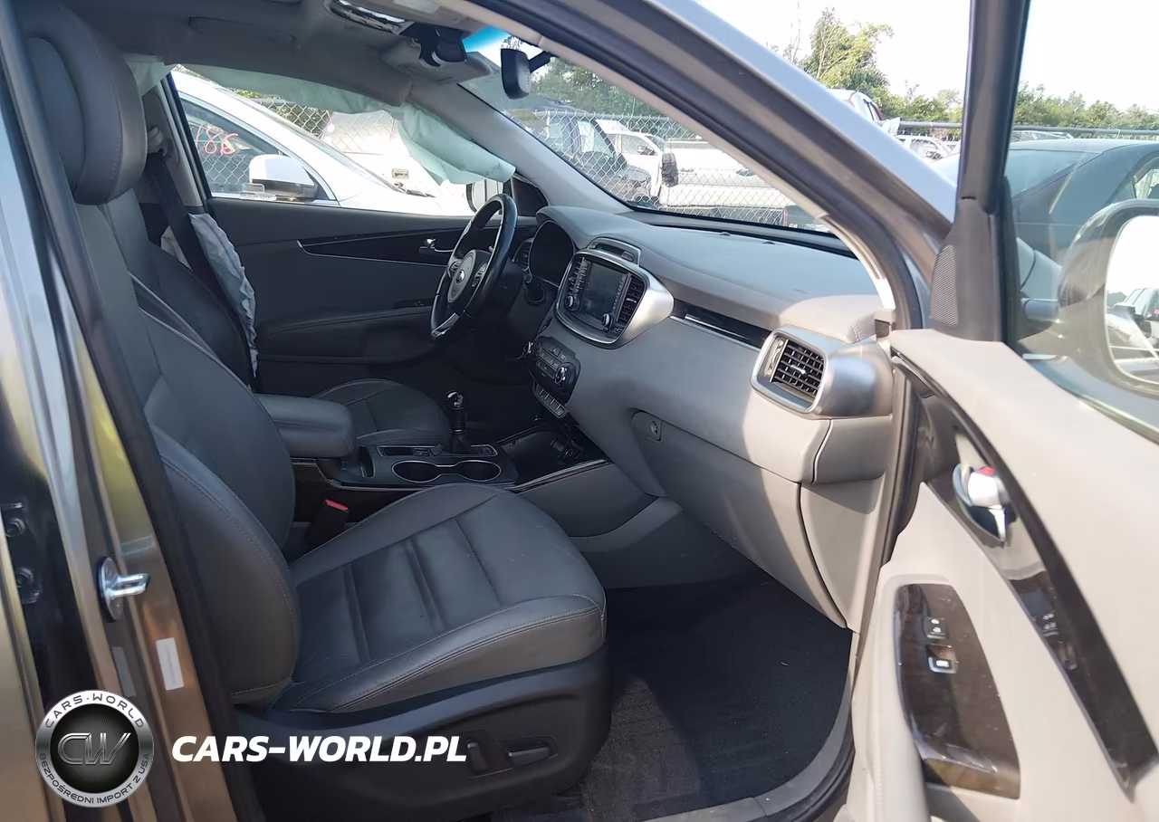 2016 Kia Sorento 3.3L Ex VIN:5XYPH4A58GG183113 - 5