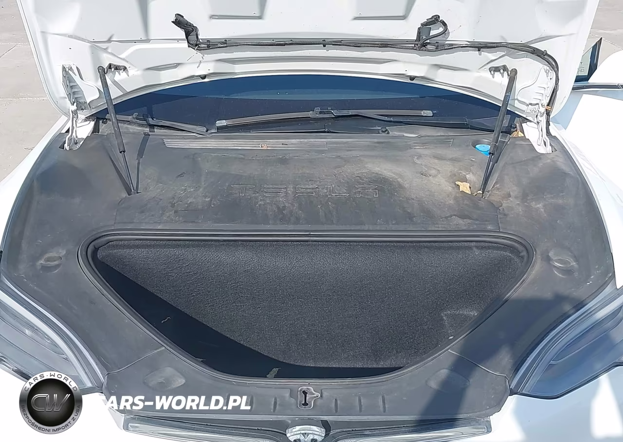 2019 Tesla Model S 100D-Long Range-P100D-Performance VIN:5YJSA1E49KF332904 - 10