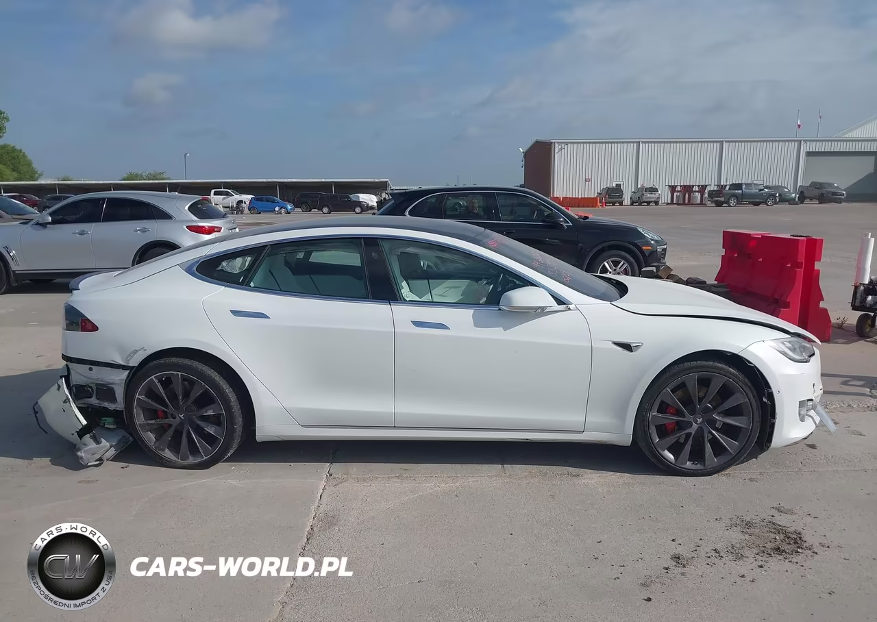 2019 Tesla Model S 100D-Long Range-P100D-Performance VIN:5YJSA1E49KF332904 - 12