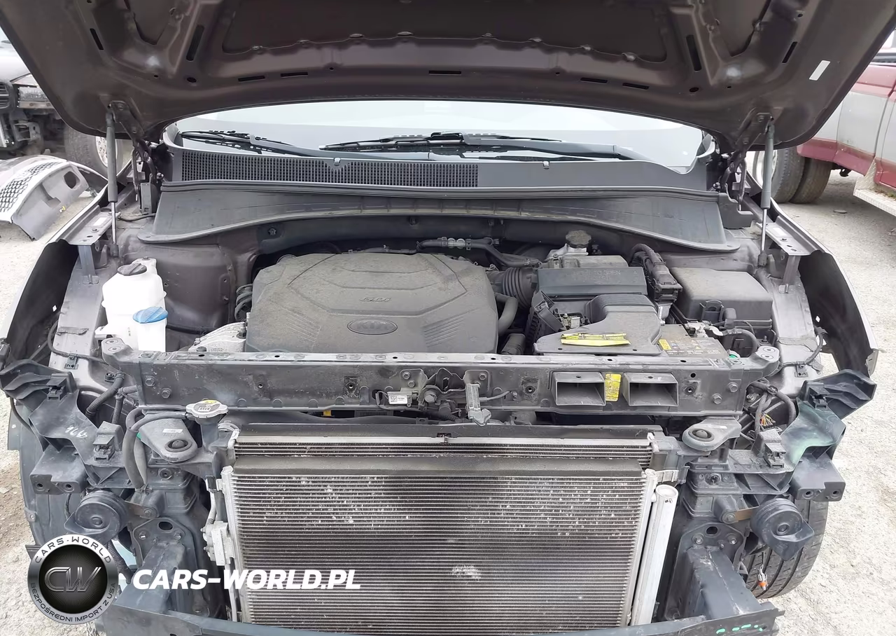 2019 Kia Sorento 3.3L Sx VIN:5XYPKDA57KG458089 - 10