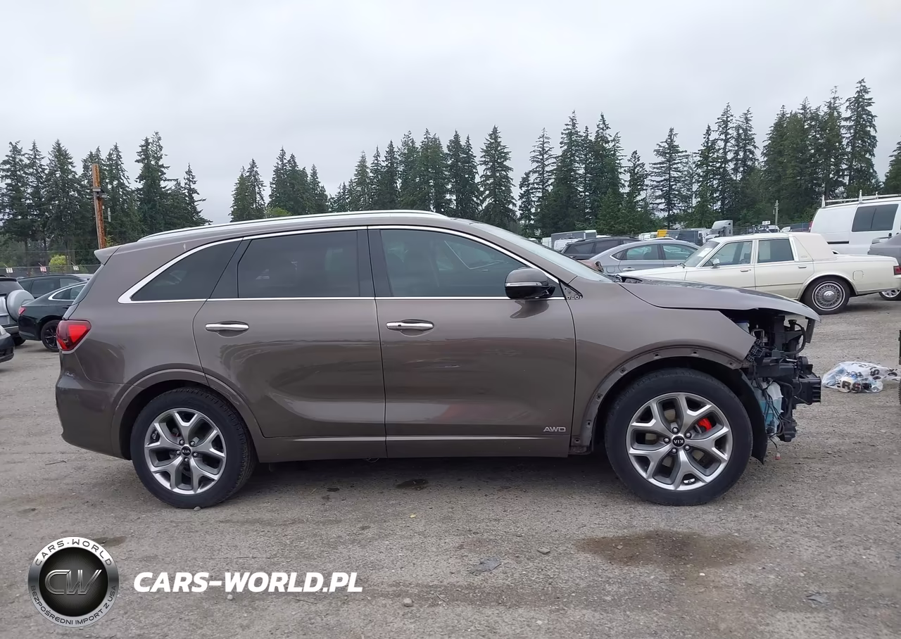 2019 Kia Sorento 3.3L Sx VIN:5XYPKDA57KG458089 - 14