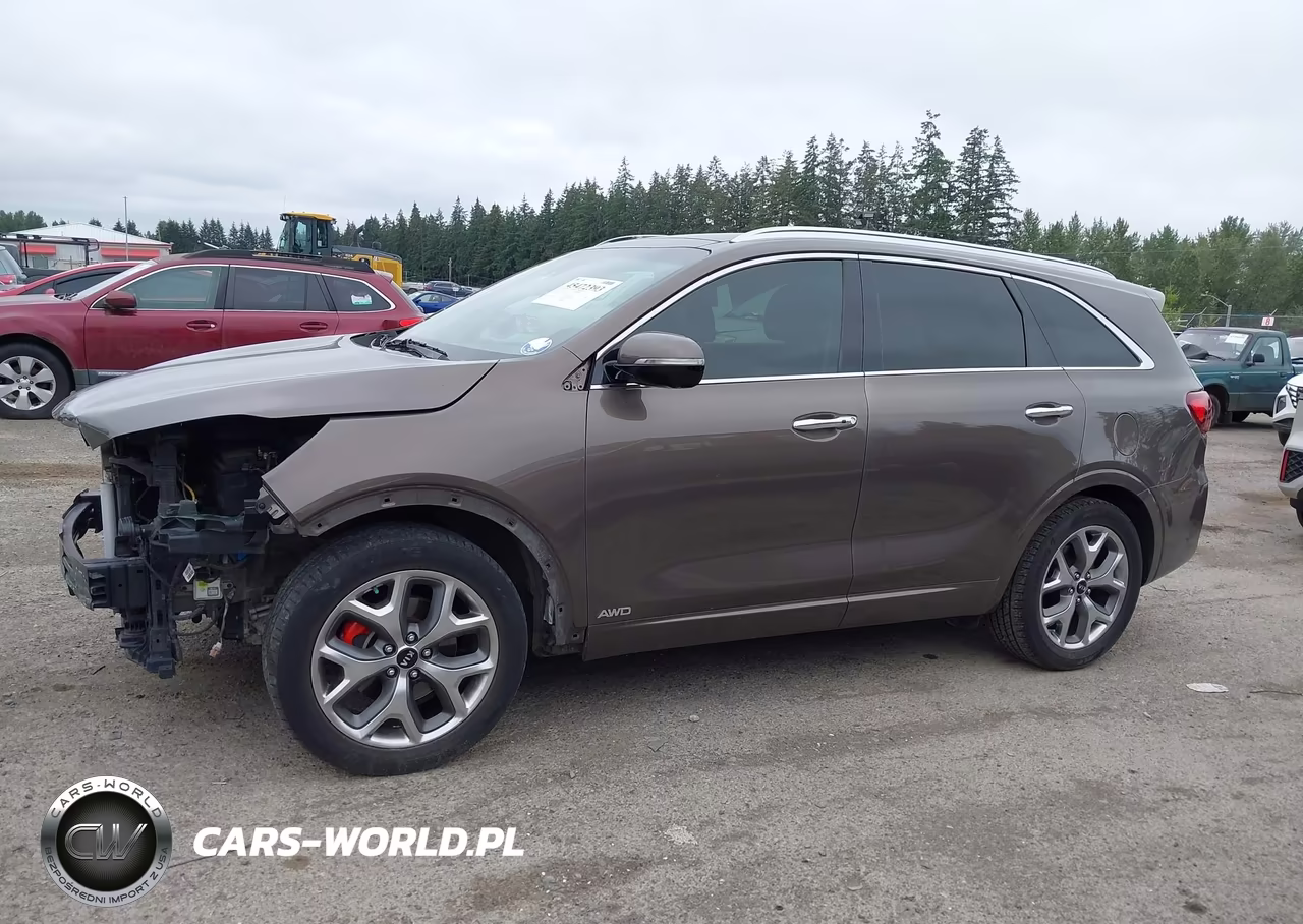 2019 Kia Sorento 3.3L Sx VIN:5XYPKDA57KG458089 - 15