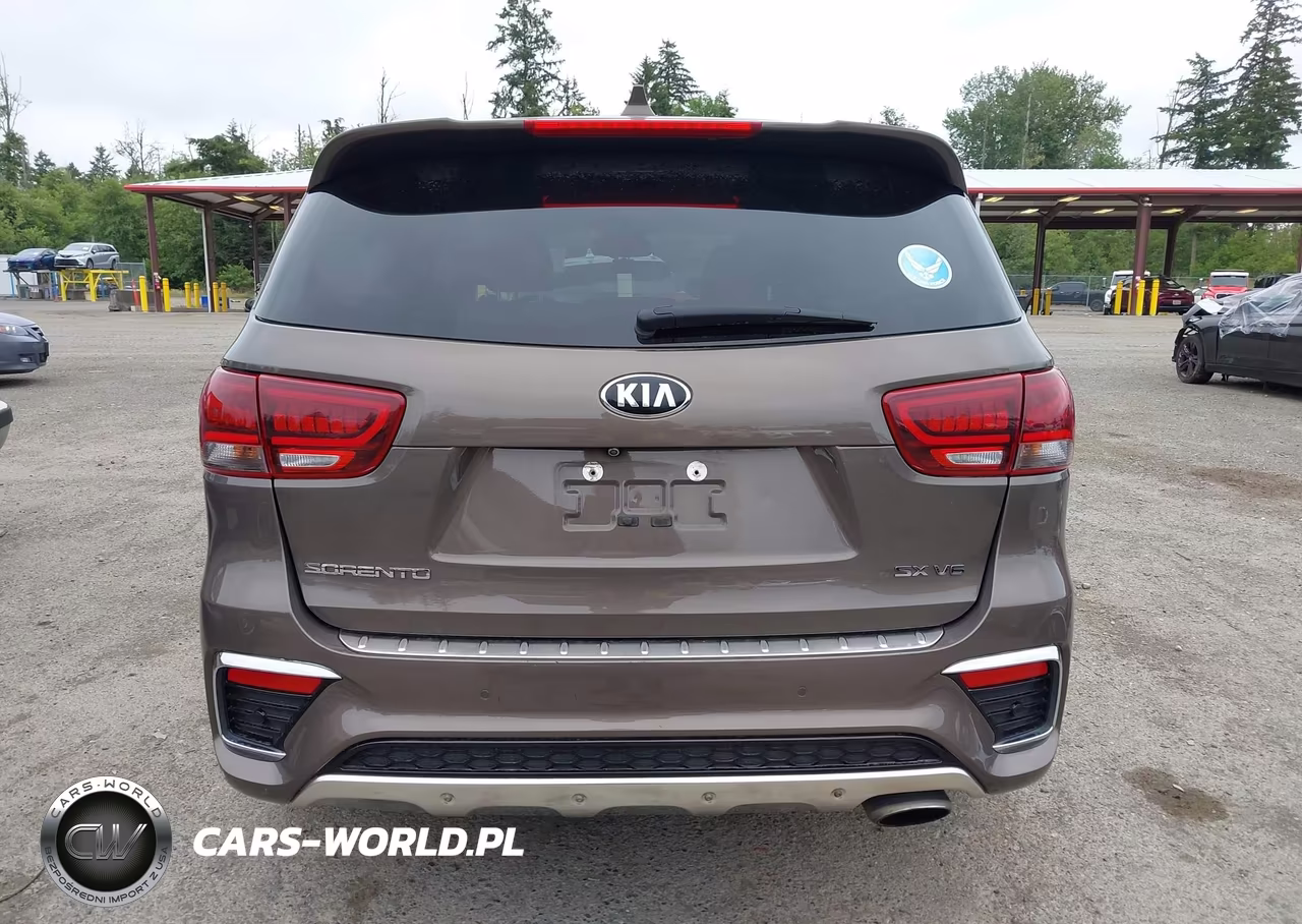 2019 Kia Sorento 3.3L Sx VIN:5XYPKDA57KG458089 - 17