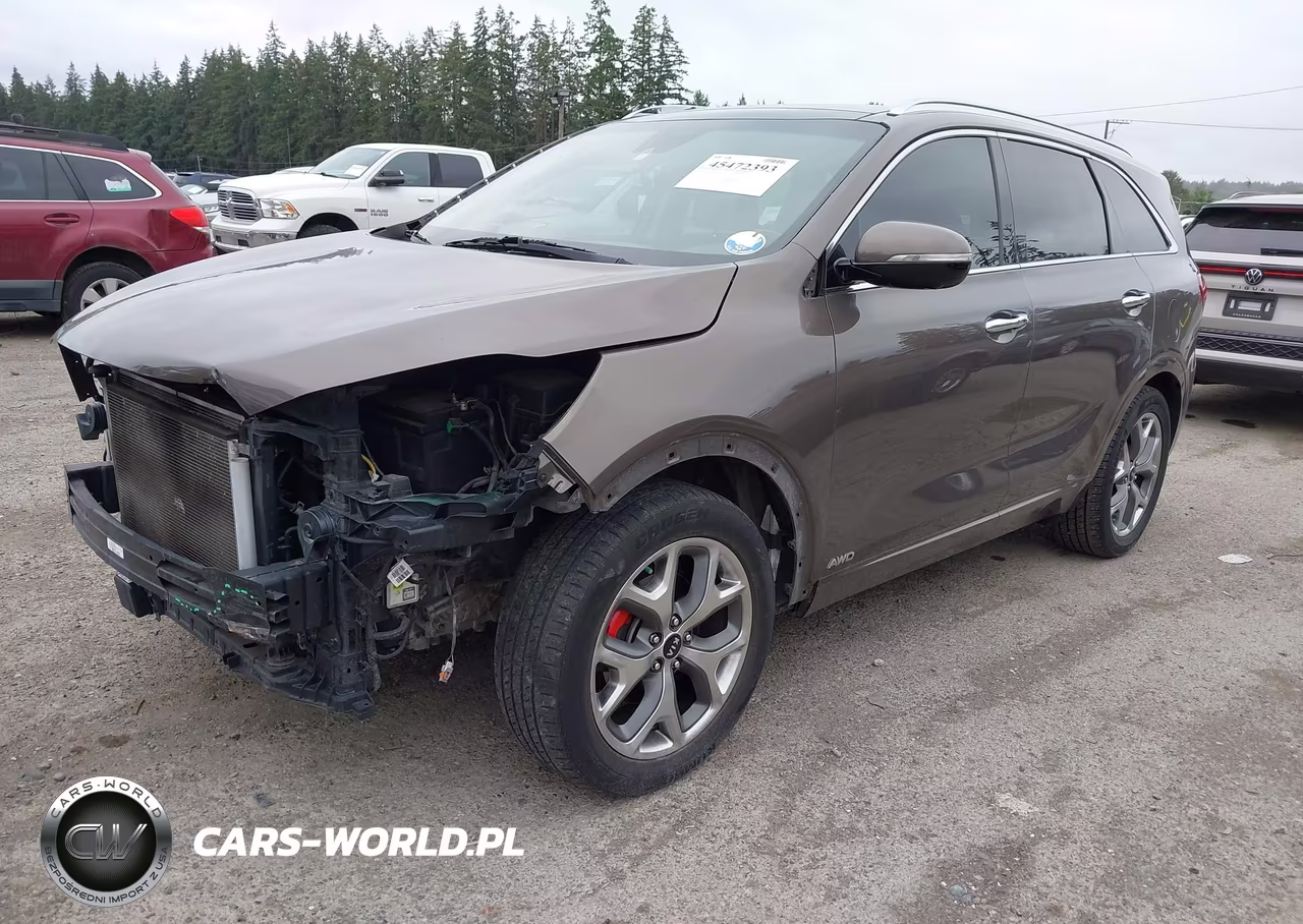 2019 Kia Sorento 3.3L Sx VIN:5XYPKDA57KG458089 - 2
