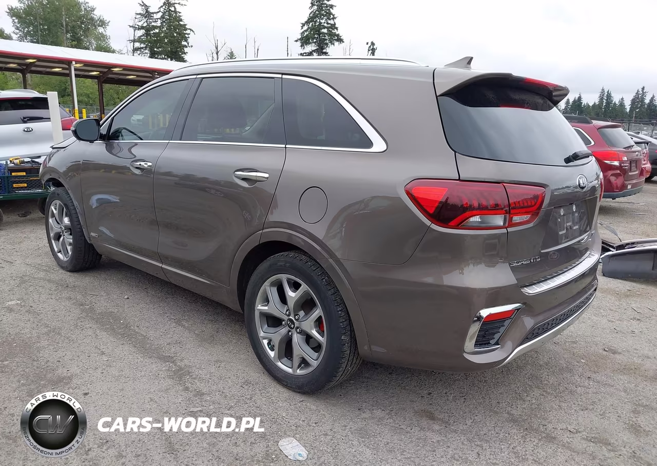 2019 Kia Sorento 3.3L Sx VIN:5XYPKDA57KG458089 - 3