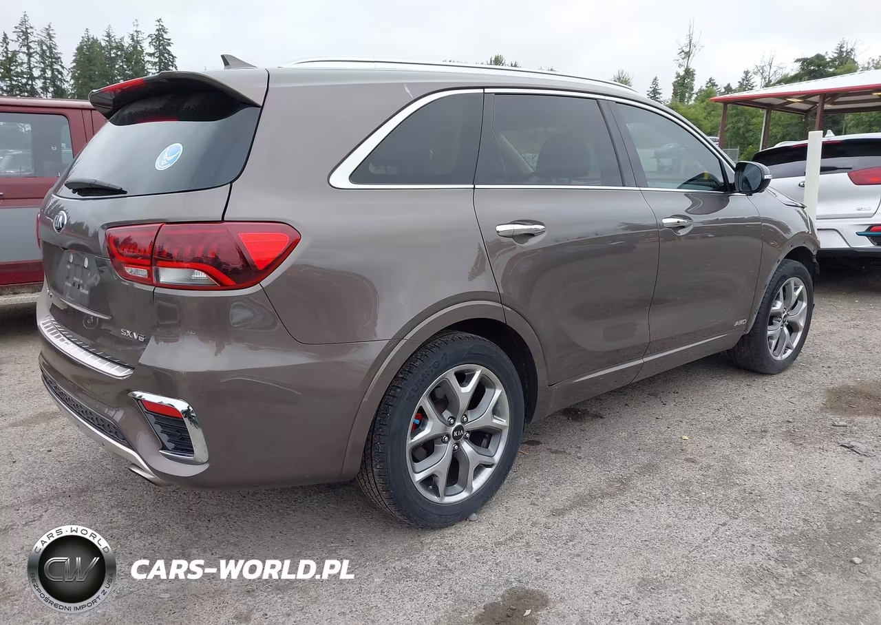 2019 Kia Sorento 3.3L Sx VIN:5XYPKDA57KG458089 - 4