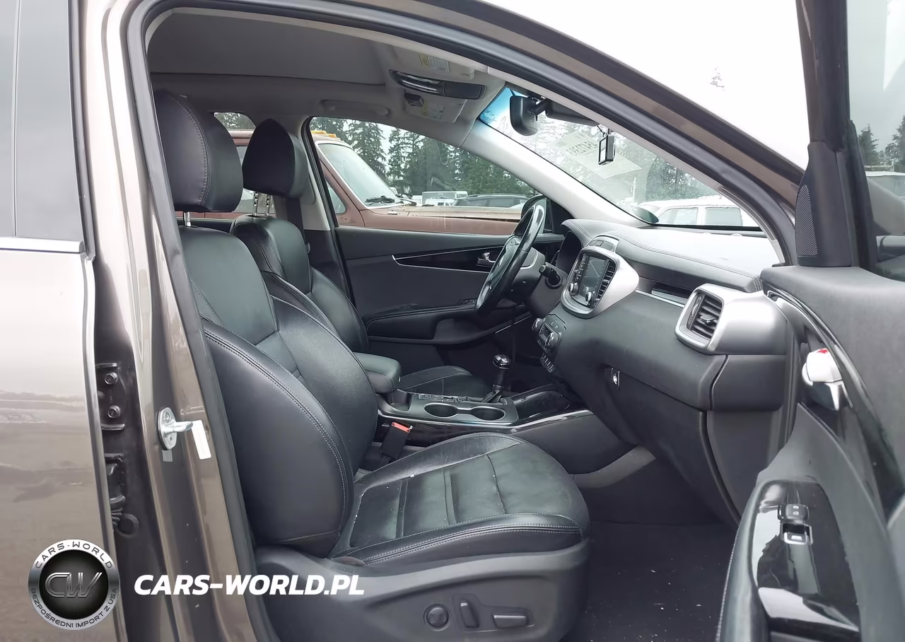 2019 Kia Sorento 3.3L Sx VIN:5XYPKDA57KG458089 - 5