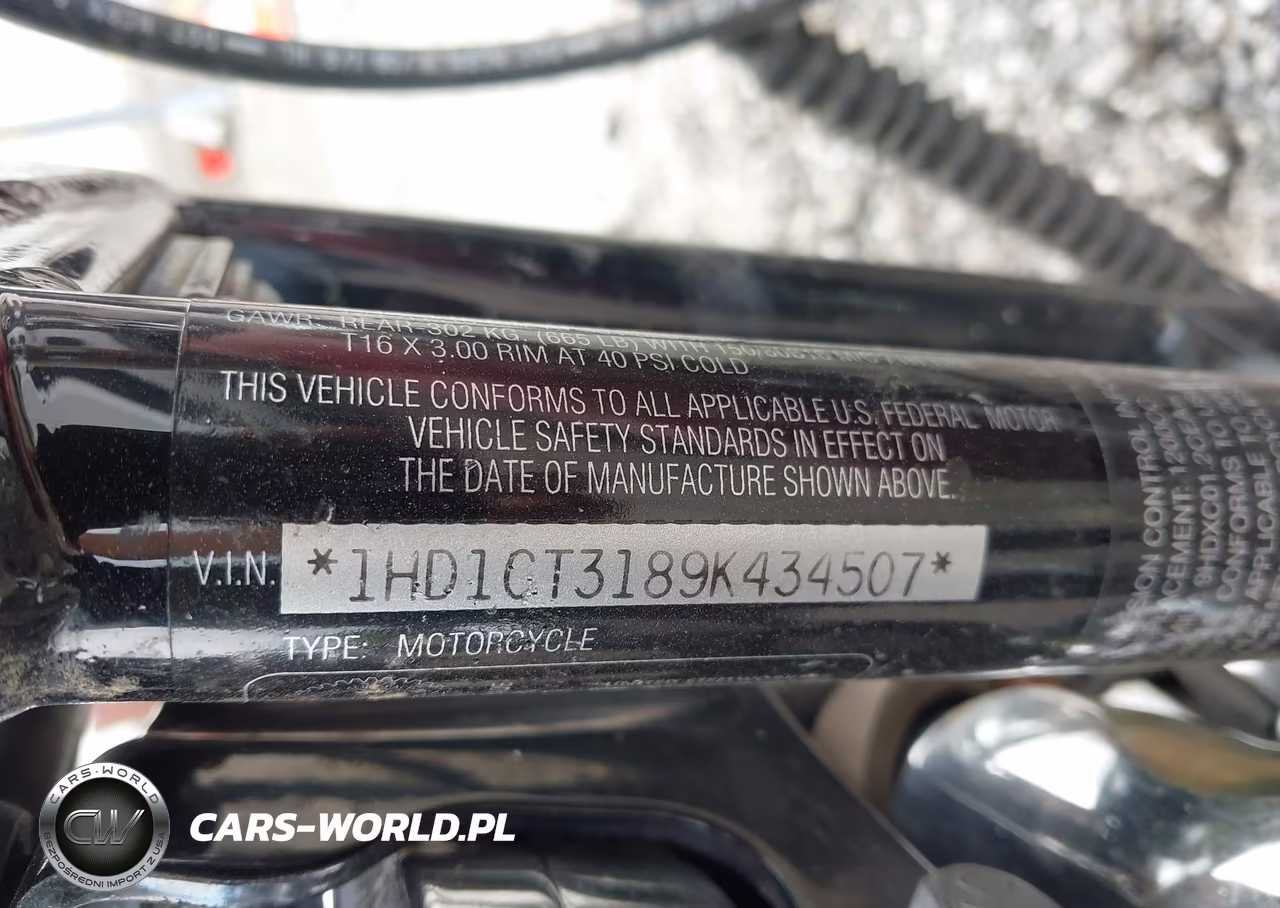 2009 Harley-Davidson Xl1200 C VIN:1HD1CT3189K434507 - 13