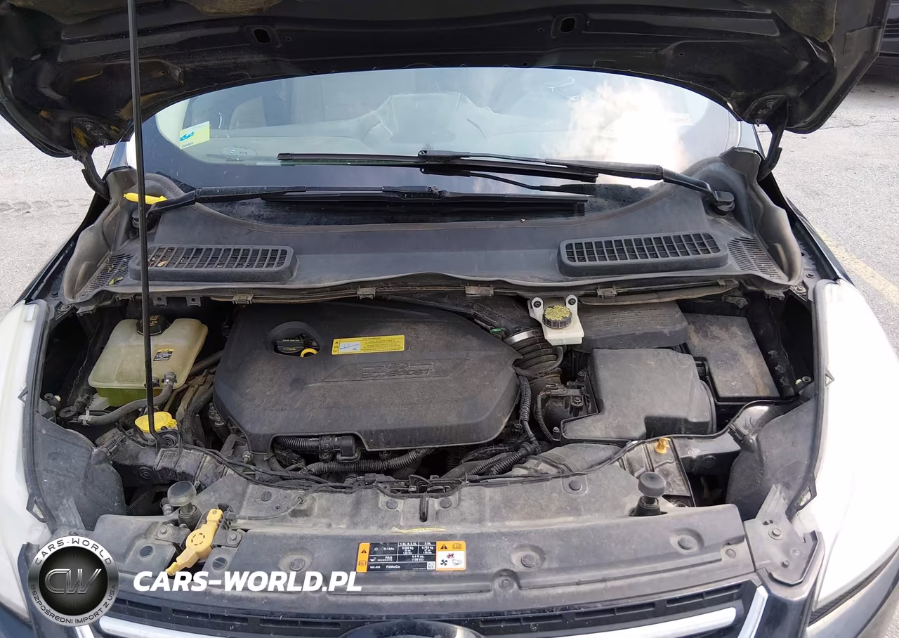 2013 Ford Escape Sel VIN:1FMCU0HX5DUA02629 - 10