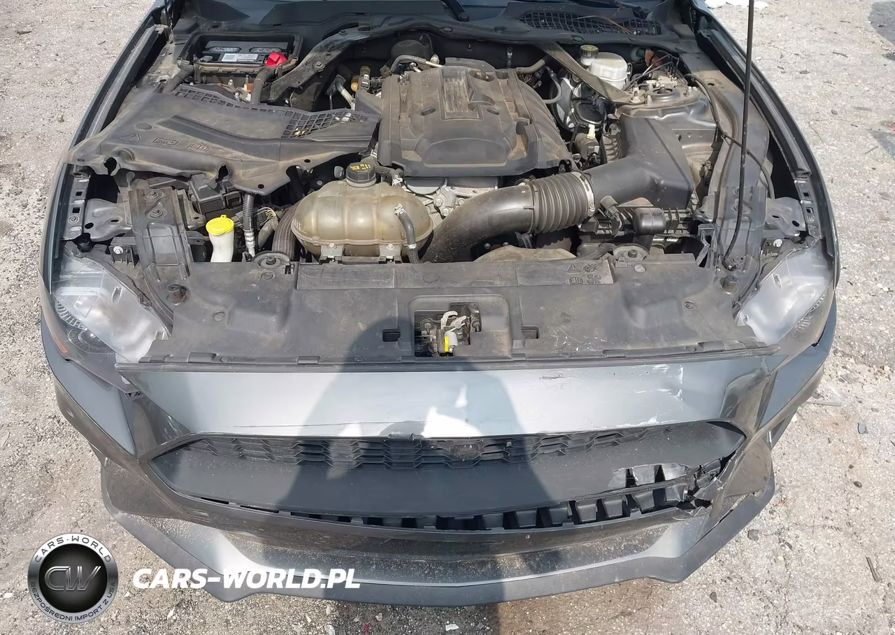 2019 Ford Mustang Ecoboost Premium VIN:1FATP8UH1K5138665 - 10