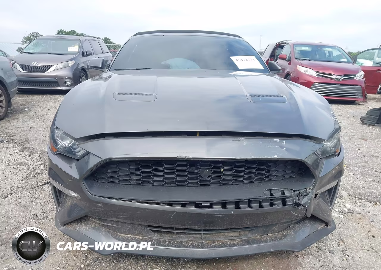 2019 Ford Mustang Ecoboost Premium VIN:1FATP8UH1K5138665 - 12