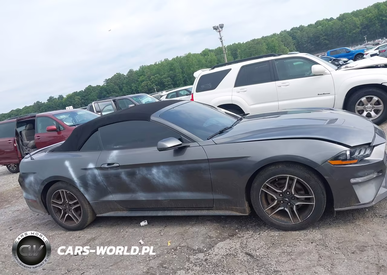 2019 Ford Mustang Ecoboost Premium VIN:1FATP8UH1K5138665 - 13