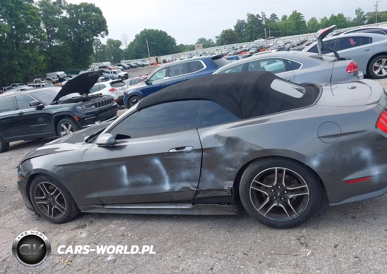 2019 Ford Mustang Ecoboost Premium VIN:1FATP8UH1K5138665 - 14